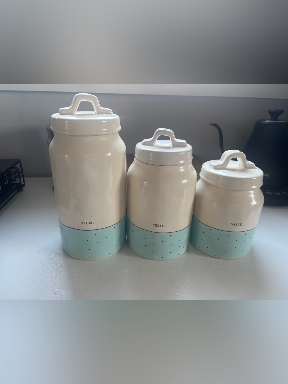 Rae Dunn Ceramic Canister Set in White and Light Blue - STASH TREAT SNACK